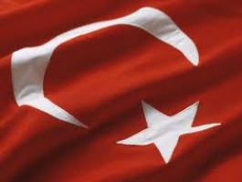 ترکیه ظرفیت الگوشدن برای کشورهای منطقه را ندارد
