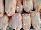 افزایش قیمت مرغ در قم به دلیل کاهش جوجه‌ریزی است