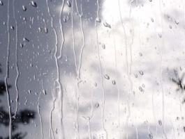 بارش باران و لطافت غیر منتظره هوا در قم