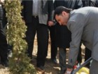 کاشت 2 هزار اصله درخت در شهرک صنعتی قنوات