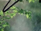 بارش باران در روزهای پایانی تعطیلات نوروزی ، نوروز 92