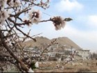 روستاهای ابرجس، بیدهند و کرمجگان از پر طرفدارترین جاذبه‌های گردشگری قم