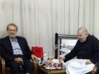 رئیس مجلس شورای اسلامی از آیت الله شهرستانی عیادت کرد