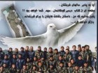 : گزارش تصویری: مجموعه پوسترهای ۱۷۵ شهید غواص عملیات کربلای ۴  