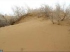 ۱۰۵ هزار هکتار از اراضی بیابانی قم در کانون‌ بحرانی تولید ریزگرد قرار دارد