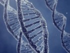 محققان ژنهای ۵ نوع سرطان را خاموش کردند
