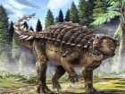 حل معمای فسیل یک دایناسور در استرالیا
