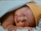 تولد نوزاد عجول در دستان کارشناسان اورژانس قم