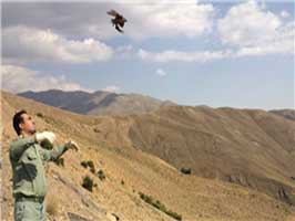 رهاسازی 22 پرنده وحشی در دامان طبیعت استان قم