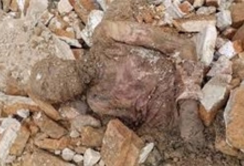 آیا جسد مومیایی مربوط به رضاخان است؟/ جزئیاتی از ماجرای کشف مومیایی در شهرری