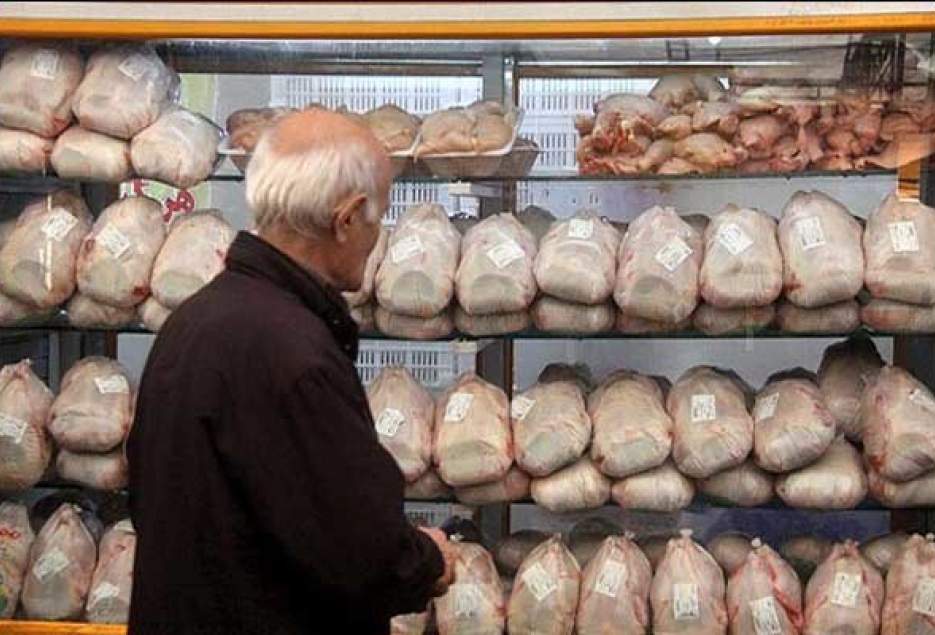 قیمت مرغ در قم تعدیل می‌شود/ فعالیت ۱۳۰ مرغداری گوشتی در قم