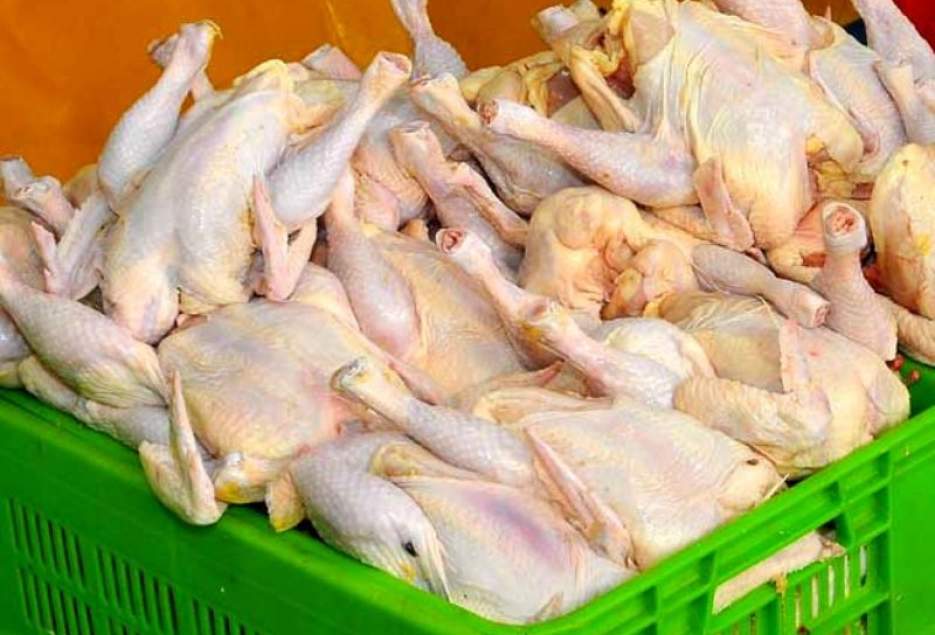 کیفیت مرغ با انجماد در فریزر خانگی کاهش می یابد