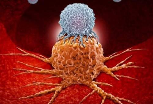 نانوذرات سیستم ایمنی‌بدن را علیه تومور سرطانی فعال می‌کنند