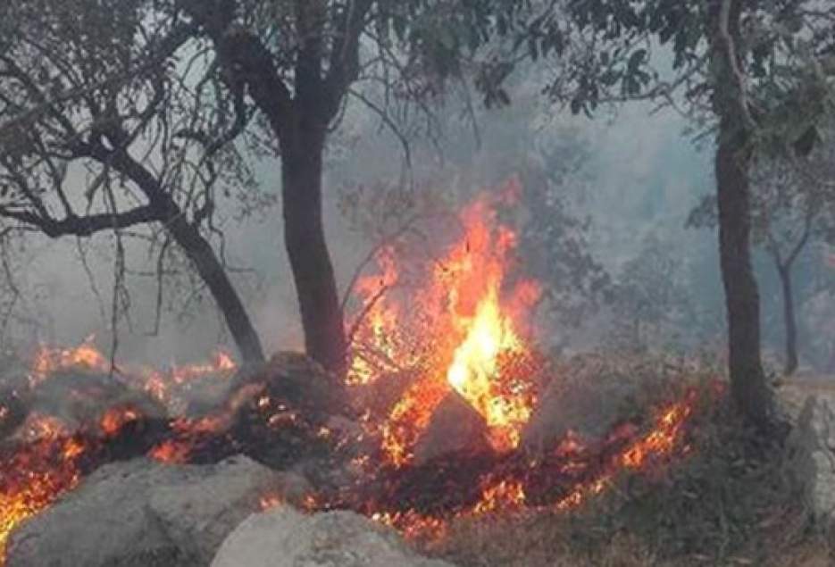 آتش به هزار هکتار از مراتع قم خسارت زد