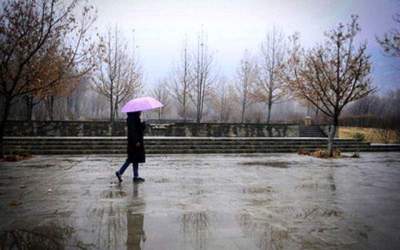 بارش باران در استان قم