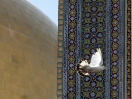 جنگ شادی کبوتران حرم برگزار می‌شود