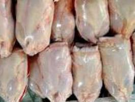افزایش قیمت مرغ در قم به دلیل کاهش جوجه‌ریزی است