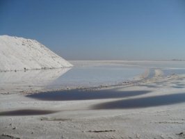 دریاچه نمک به یکی از قدرت های اقتصادی قم تبدیل می شود