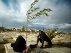 :گزارش تصویری: قبرستان وادی السلام  