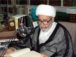 علامه فضلی مرد جهاد خاموش در شرایط سخت بود