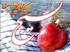 دوره آموزشی عادی به فعال بسیجیان حوزه حضرت زهرا(س) در قم برگزار شد