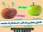 برای مبارزه با فساد در فضای مجازی باید جبهه ای عمل کنیم و قرارگاه داشته باشیم/نباید منتظر نهاد متولی رسمی بمانیم