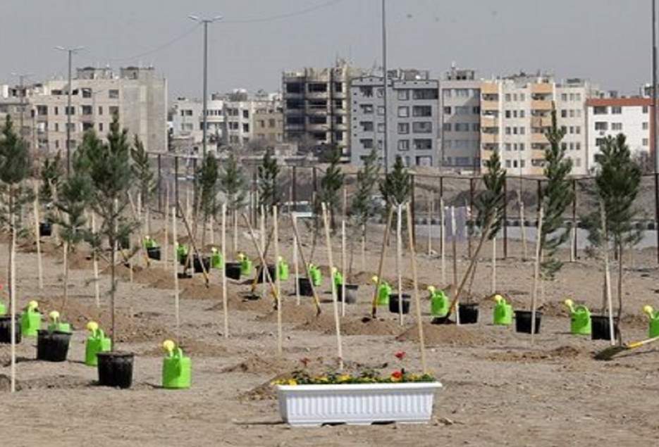 ۱۰ هکتار نهال‌کاری با مشارکت ۱۰۰ داوطلب مردمی/۸۰۰ قمی کارت همیار طبیعت را دریافت کردند