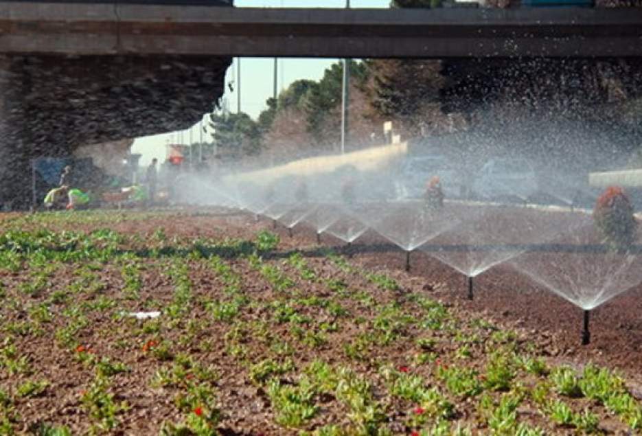 پیمانکاران برای هدر رفت آب در بوستان‌های قم جریمه شدند