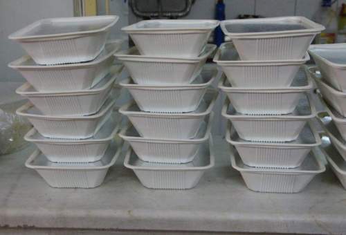 Waste Org. allocates subsidies for using plant-based disposable dishes in Muharram